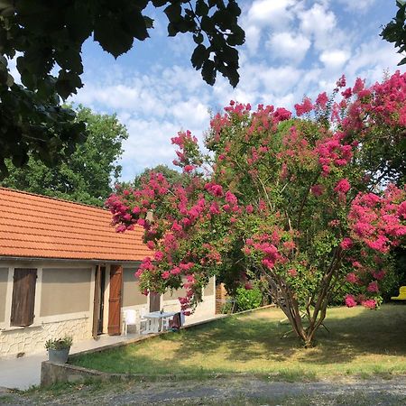 Au Lilas Rose Maison Entre Campagne Et Village Belvès Exteriör bild