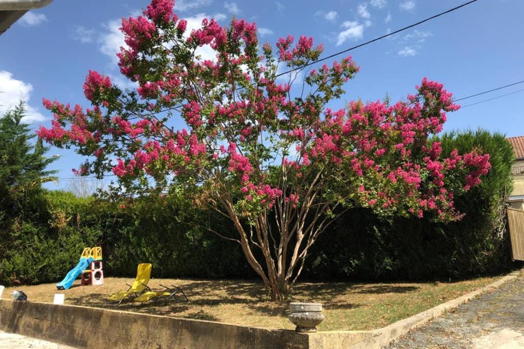 Au Lilas Rose Maison Entre Campagne Et Village Belvès Exteriör bild