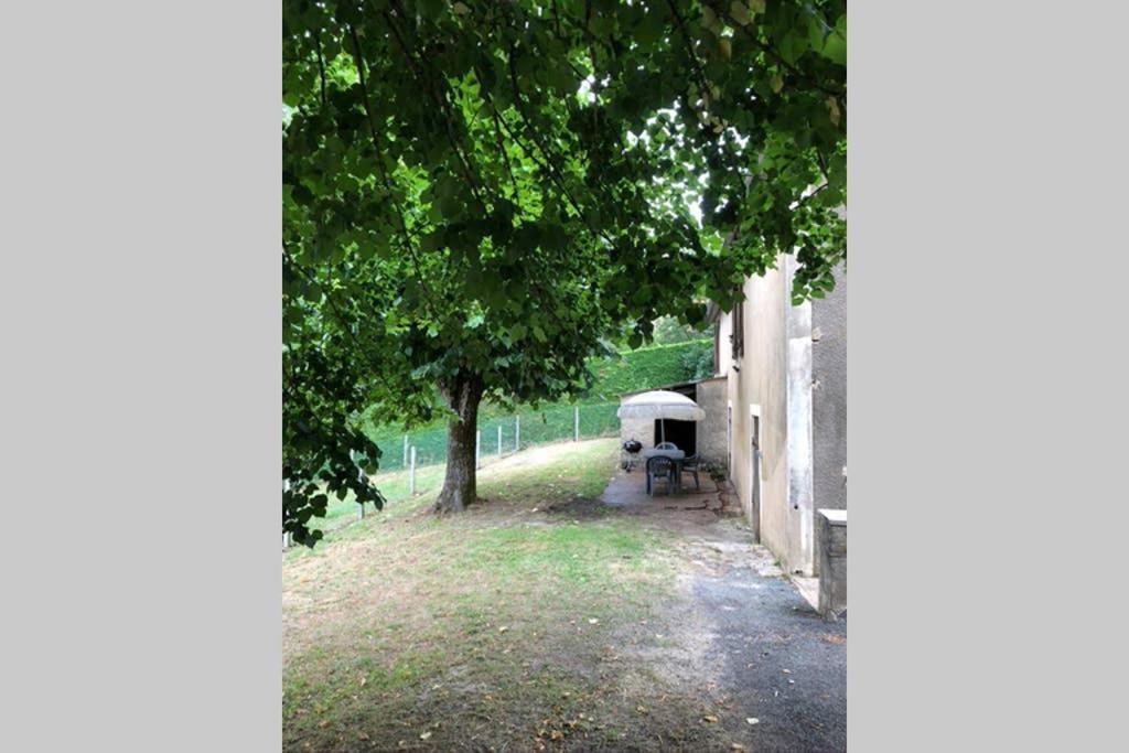 Au Lilas Rose Maison Entre Campagne Et Village Belvès Exteriör bild